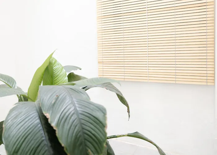 La Cochera Casa Emblematica En * Σάντα Κρουζ Τενερίφης