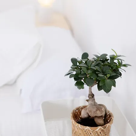 La Cochera Casa Emblematica En *