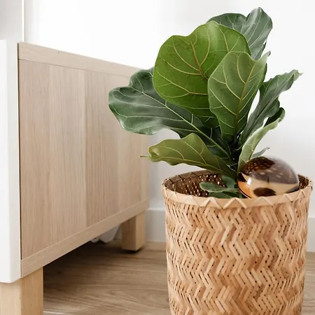 La Cochera Casa Emblematica En *