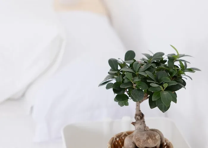 La Cochera Casa Emblematica En *